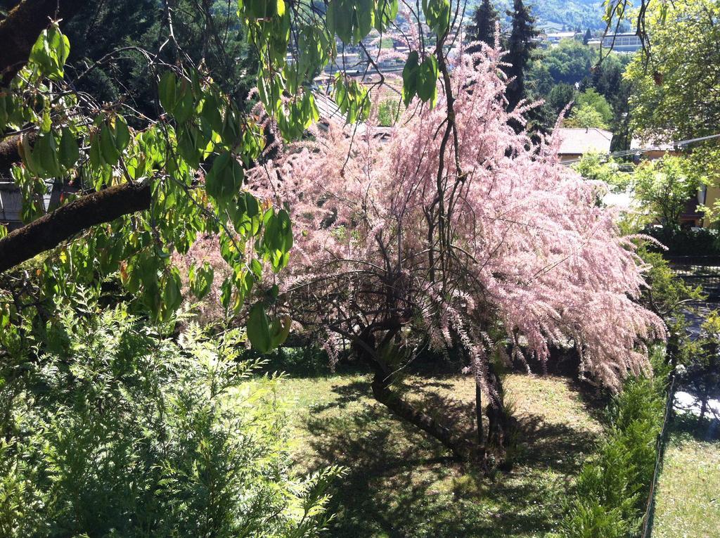 B&B Aria d'Argento - Bike Tours Trient Exterior foto